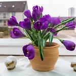 Gaestehaus Margareth בית הארחה בוסום