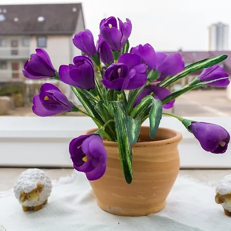 Gastehaus Margareth Гостевой дом Бюзум